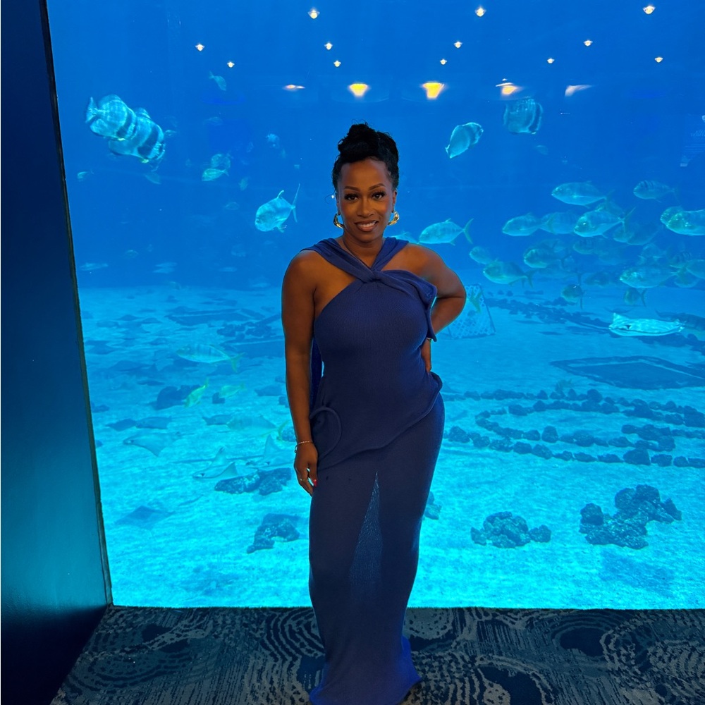 Meshki Cobalt Blue Dress Small